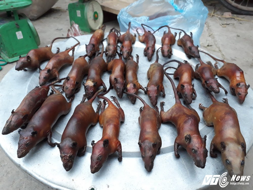 z817763111440_609105b192092981d253e9e549445d54 9