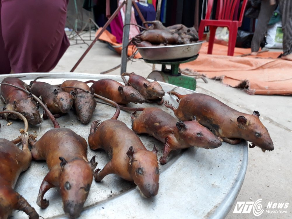 z817763116536_7404ab0eb7e84a31c584f85876421fc7 10