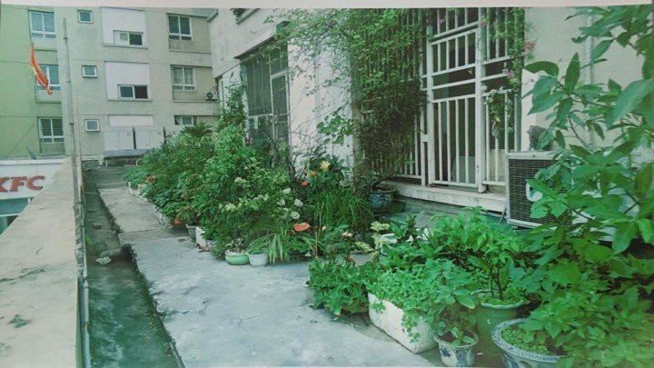 23365157_10210372635381647_1832385991_n