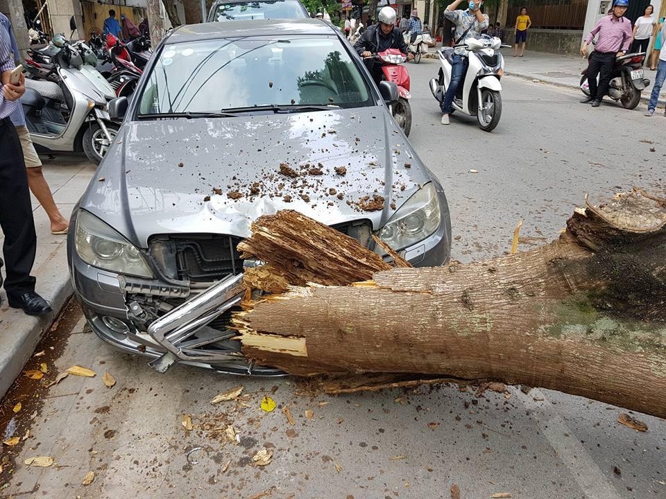 23518814_1955345267815321_6308950777696854557_n-1520405