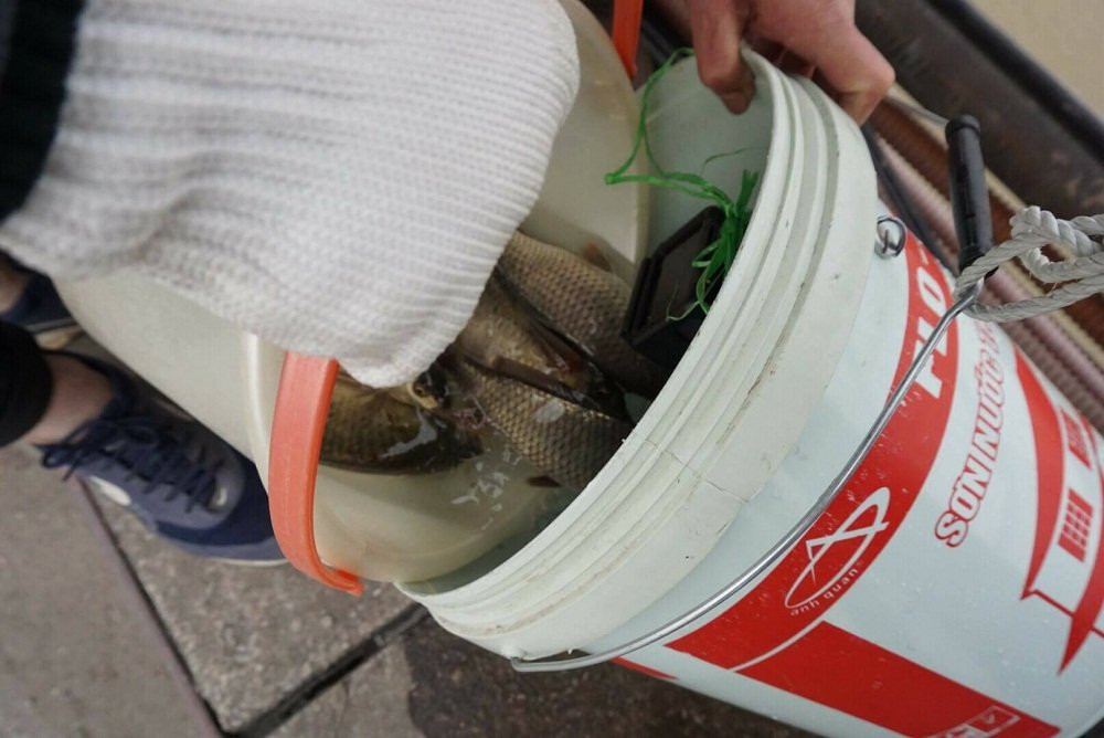 27845633_950622688428953_834093683_o 10