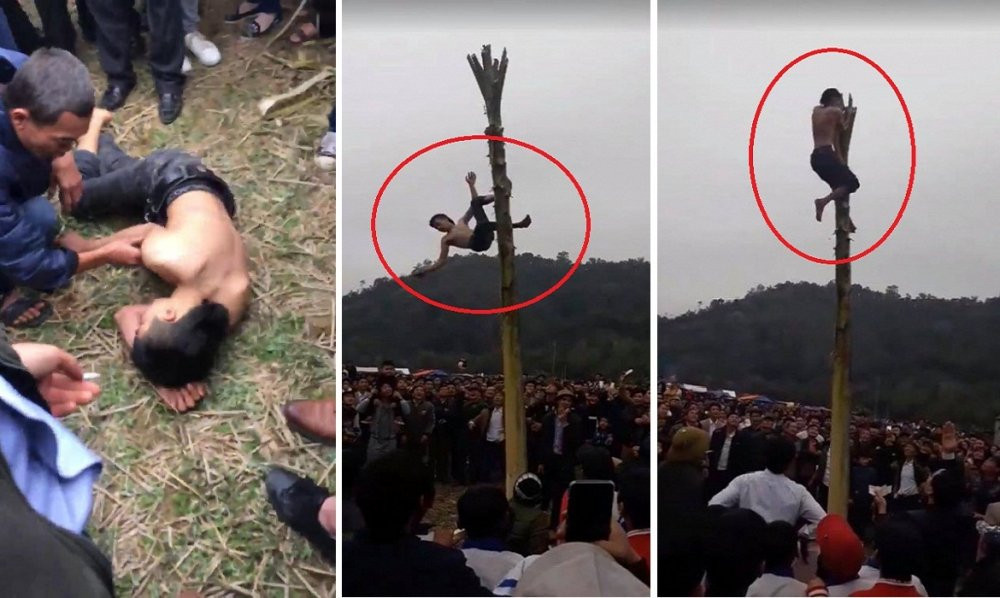 treo-cay-chuoi-te-nga_1-0026200