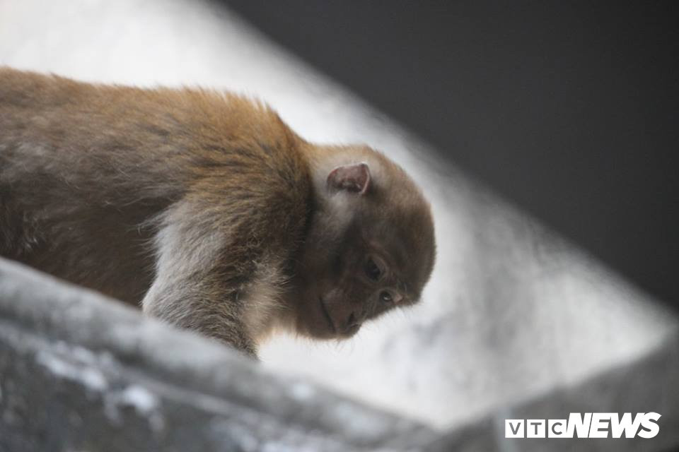 28795185_1618555851547261_1831922101431304192_n-1511006