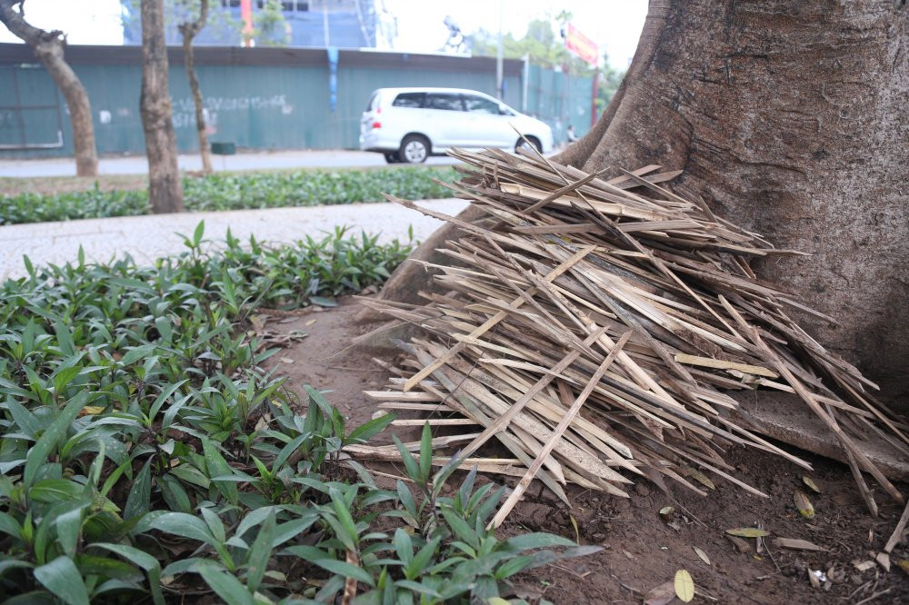 29249352_893032740877467_4772800721420550144_o