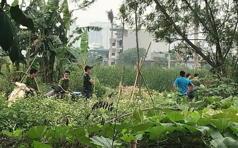 31178301_1186626528138510_2926471712286688042_n