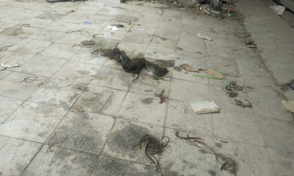 37033861_1029497593895001_4459732265928228864_n