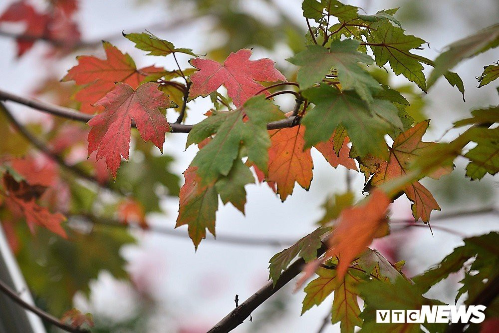 37883980_2274963372519236_1473285099490377728_n 12