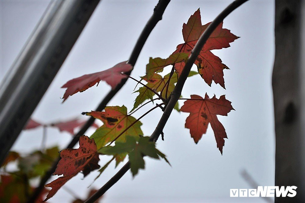 37900941_2274963375852569_7431742136023777280_n 13