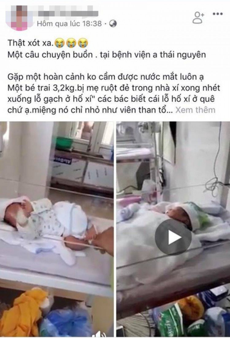 bo roi o thai nguyen1