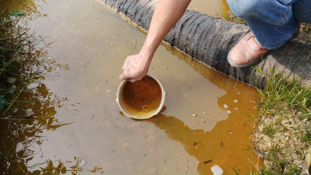 48366094_555298074934592_3978142230182363136_n