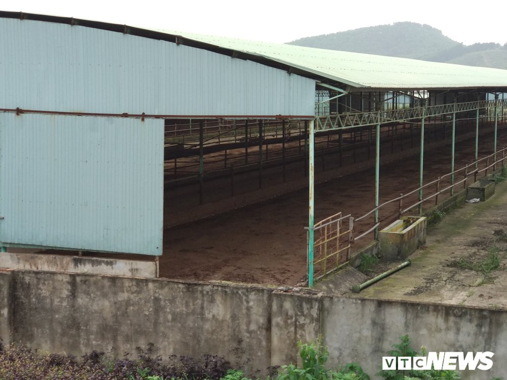 du-an-bo-binh-ha-8 8