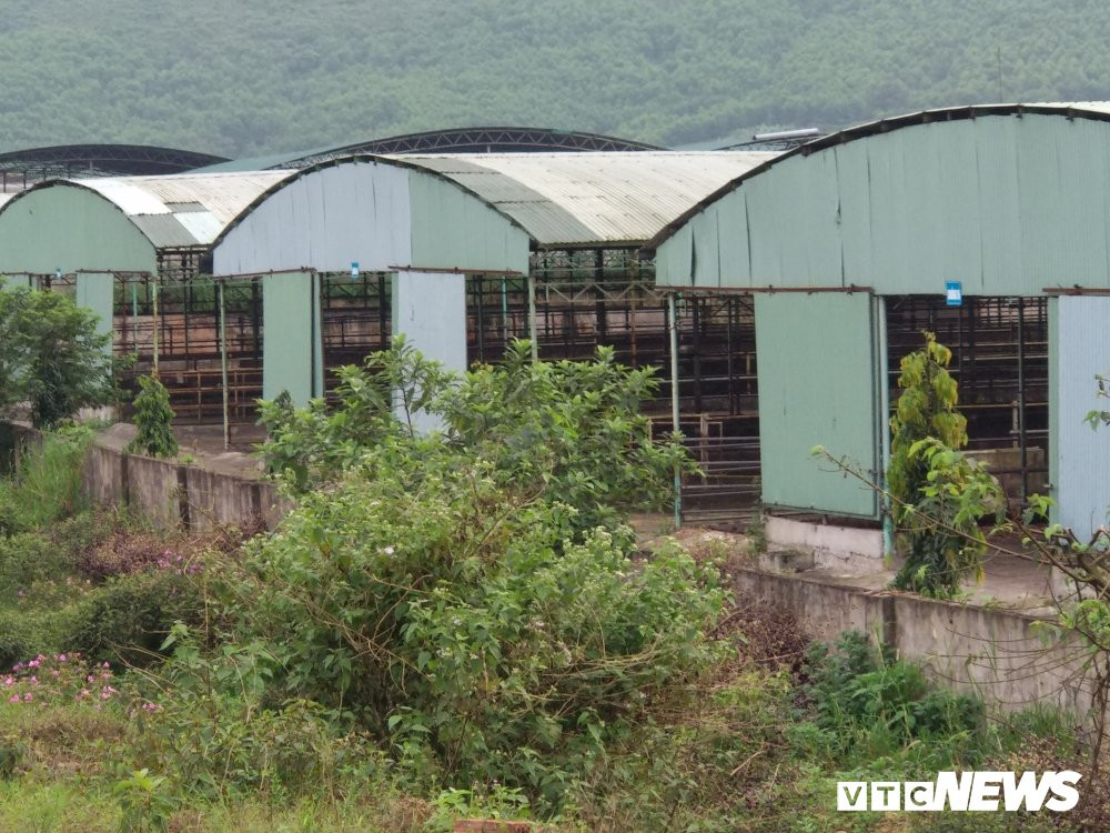 du-an-bo-binh-ha-9 8