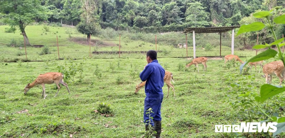 56927263_457153191688832_6337123936286801920_n