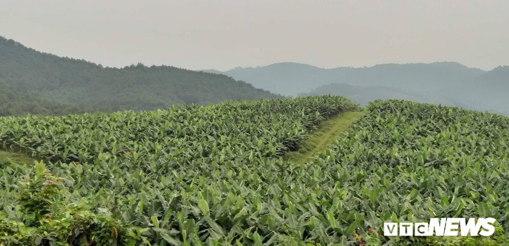 56286775_815127568846147_7731048502687432704_n