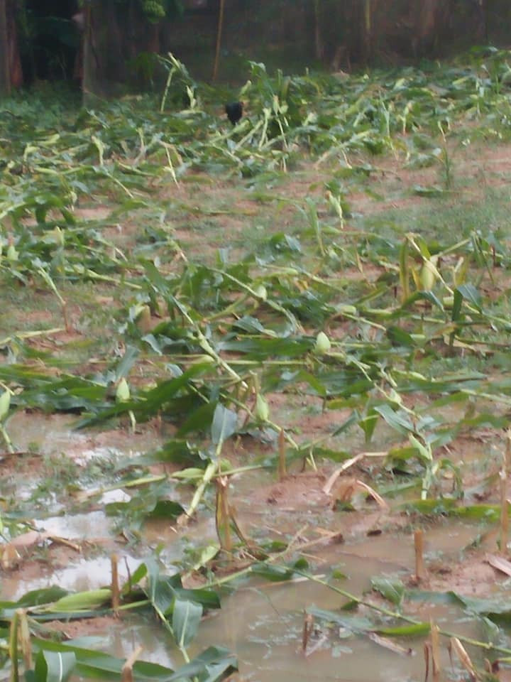 58622703_2652108895015894_920056551140491264_n 3