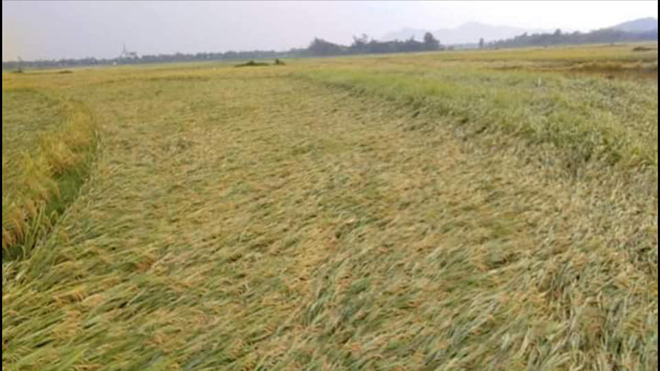 58707892_1047958105397400_8977371694712750080_n