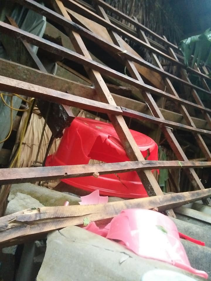 59243999_2652108618349255_2764287148373835776_n 6