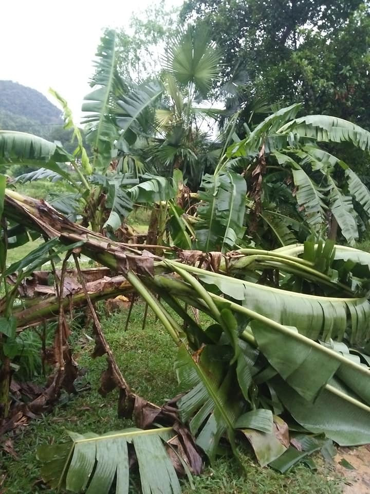 59481856_2652108841682566_1724451196367798272_n 4