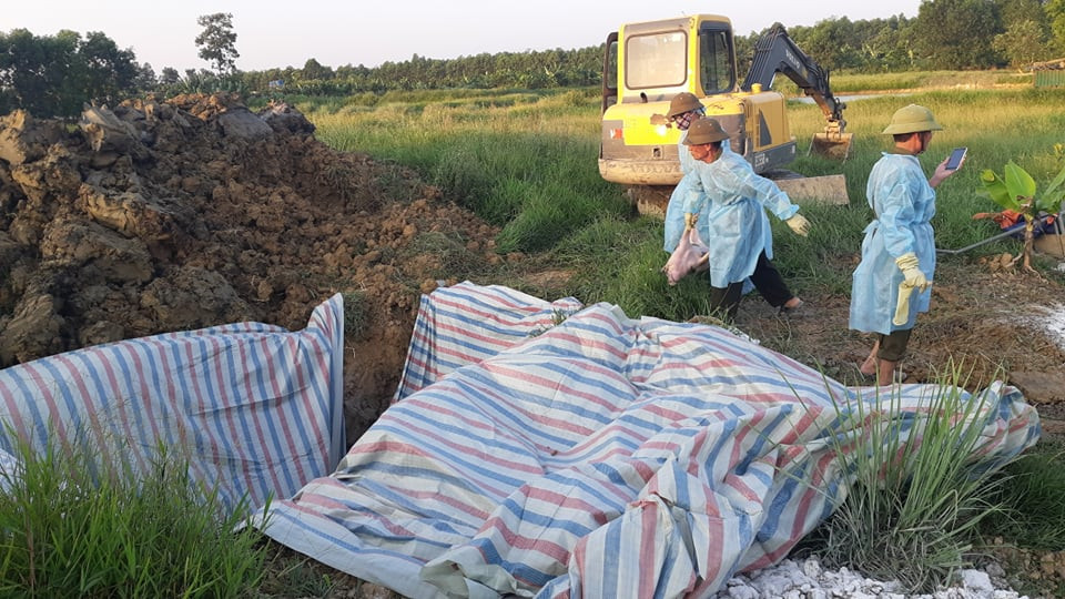 60879523_2066131250151453_1365751775667159040_n