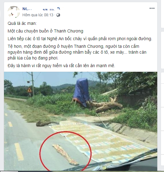 du-luan-rat-phan-no-hanh-vi-phoi-lua-rai-dinh