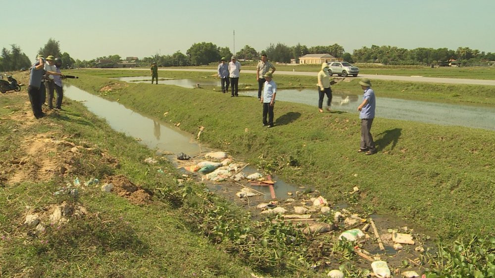 hang-chuc-con-lon-chet-troi-tren-kenh-dan-nuoc