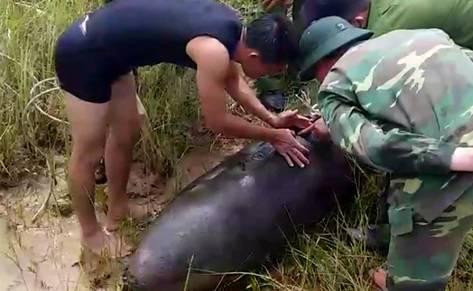 Ym9tLXNvbmctbGFtLTJi