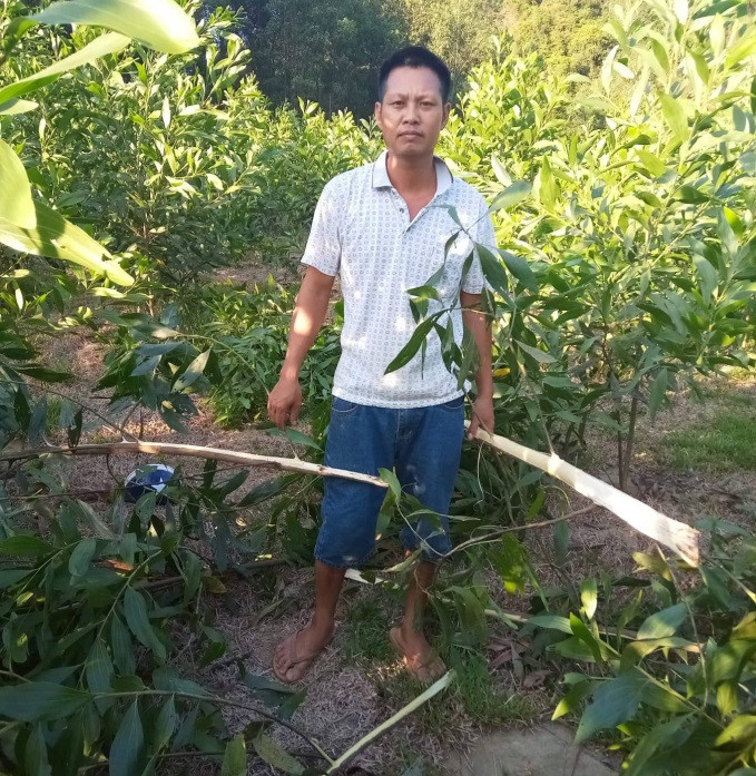 rung-keo-bi-chat-pha