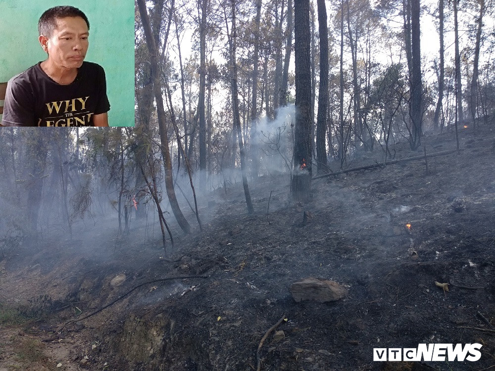 chay-rung-hong-linh88