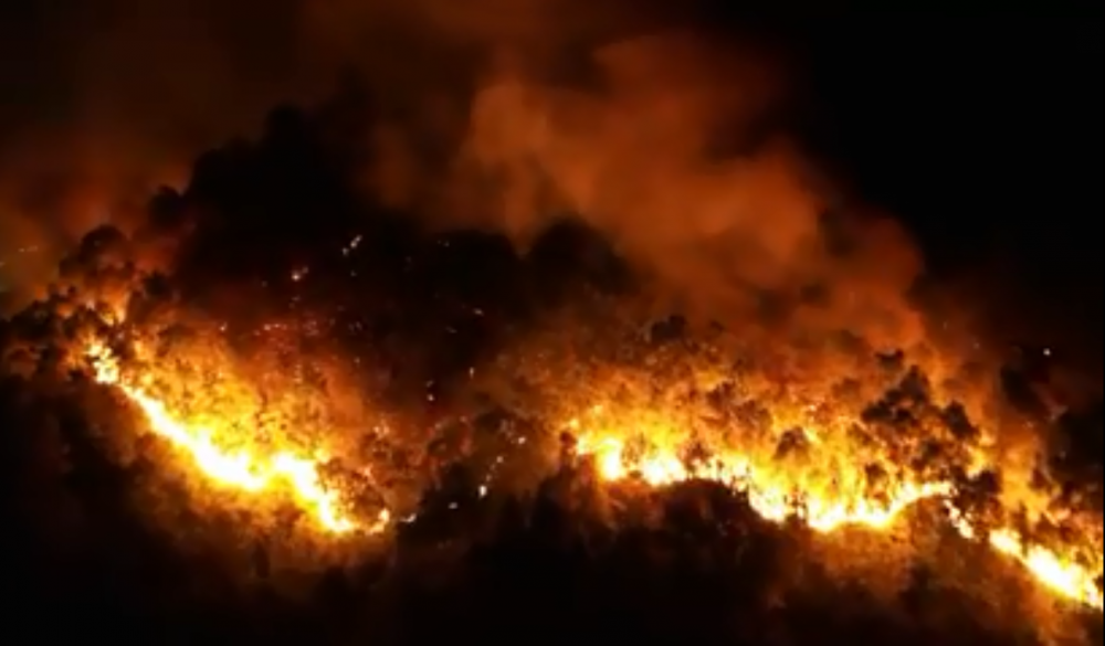 chayrunghonglinh-anhsachNguyen2 19