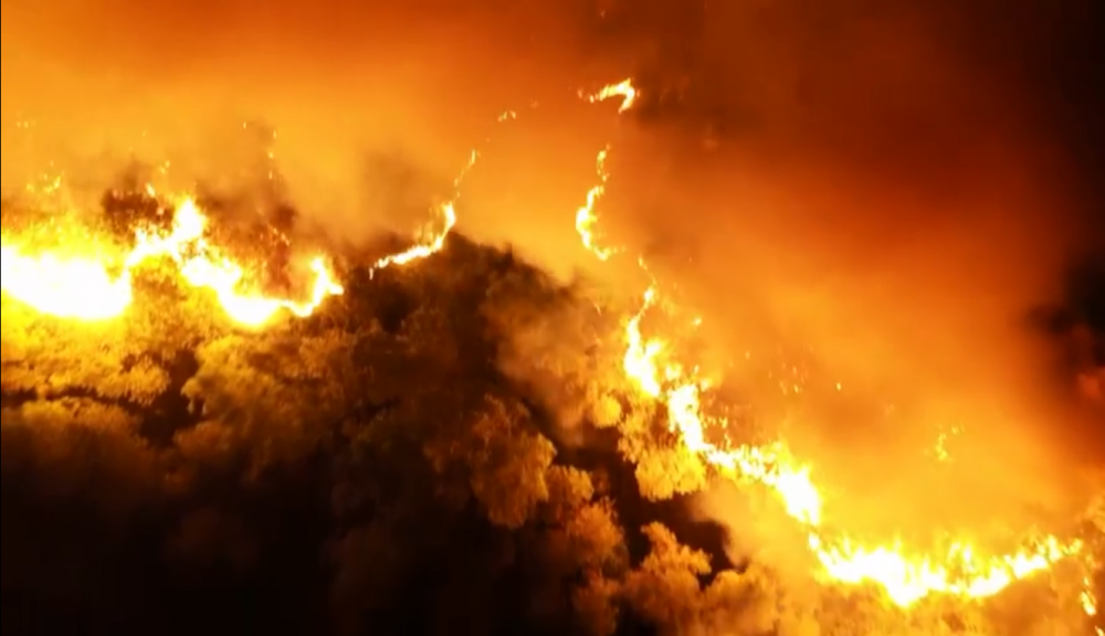 chayrunghonglinh-anhsachnguyen3-16-0646286