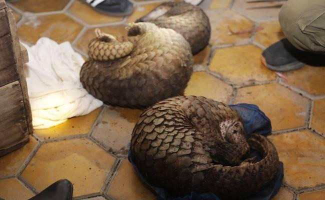 phat-hien-30 -con-te-te