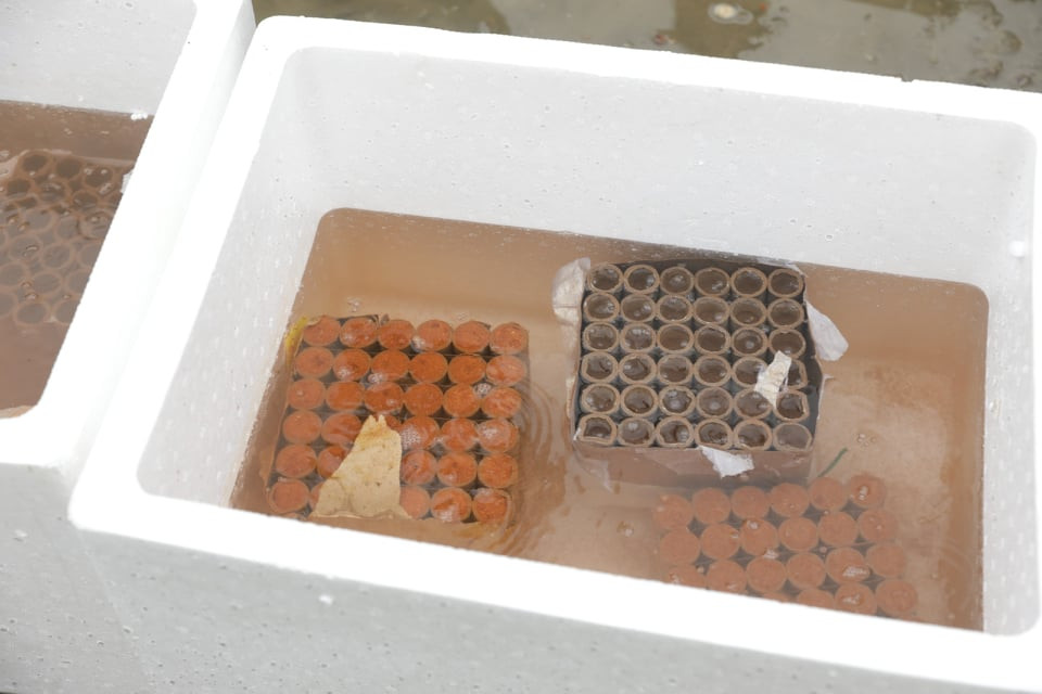 67470540_503991103741470_7445440298559209472_n 5