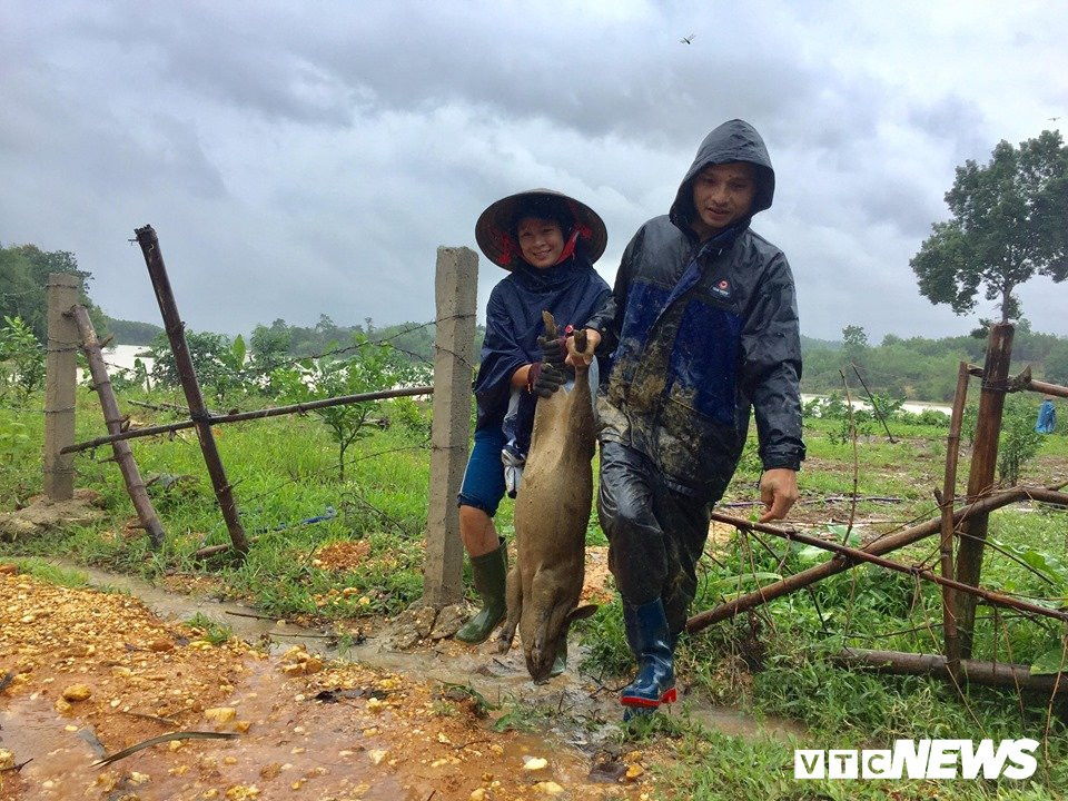 69647653_1236602849844285_7961543506084757504_n 3