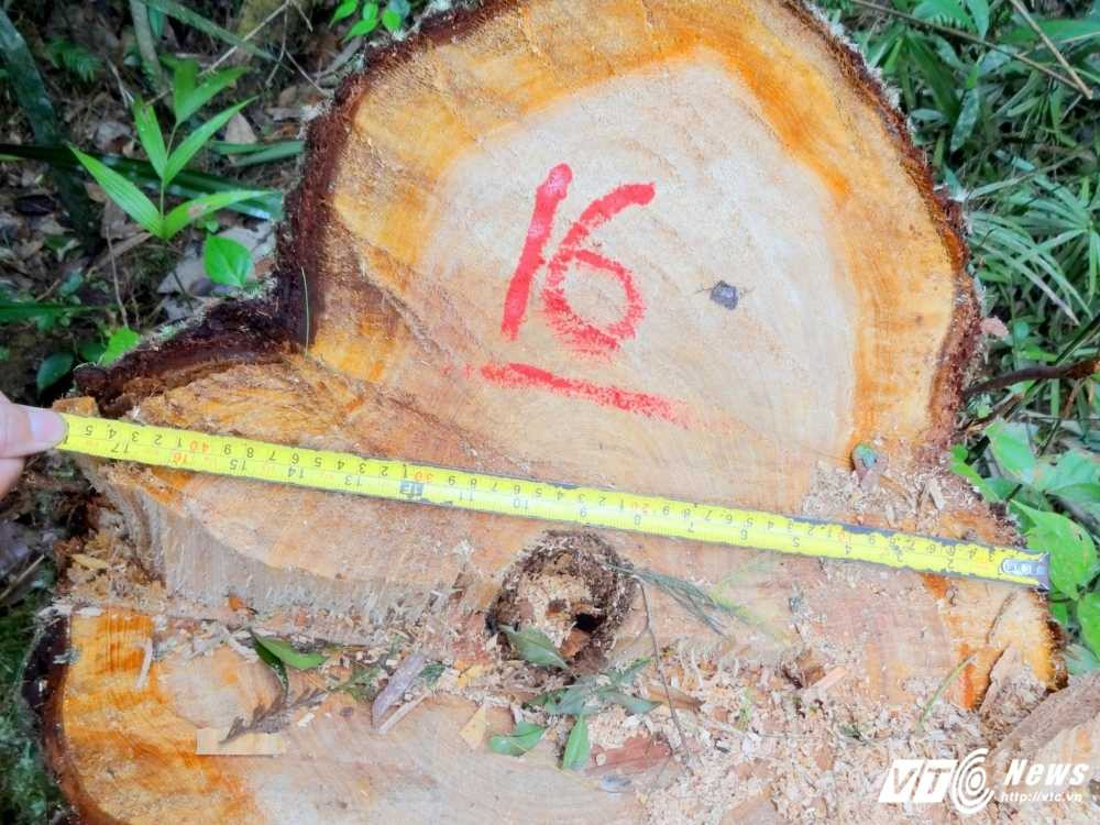 14067994_922644547879074_8237642547723731991_o