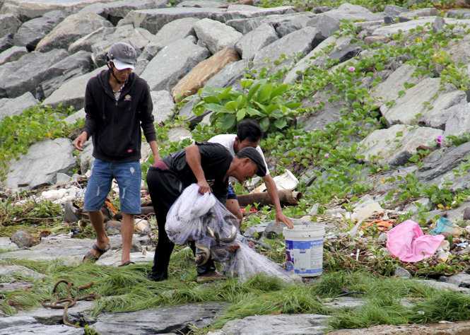 Một lần tung lưới, ngư dân Nguyễn Văn Lam phải nhờ tới hai người kéo lưới vì cá quá nhiều - Ảnh: TRƯỜNG TRUNG