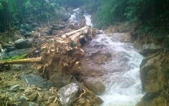 Đất đá và cây rừng bật gốc còn sọt lại khi nước lũ tràn qua