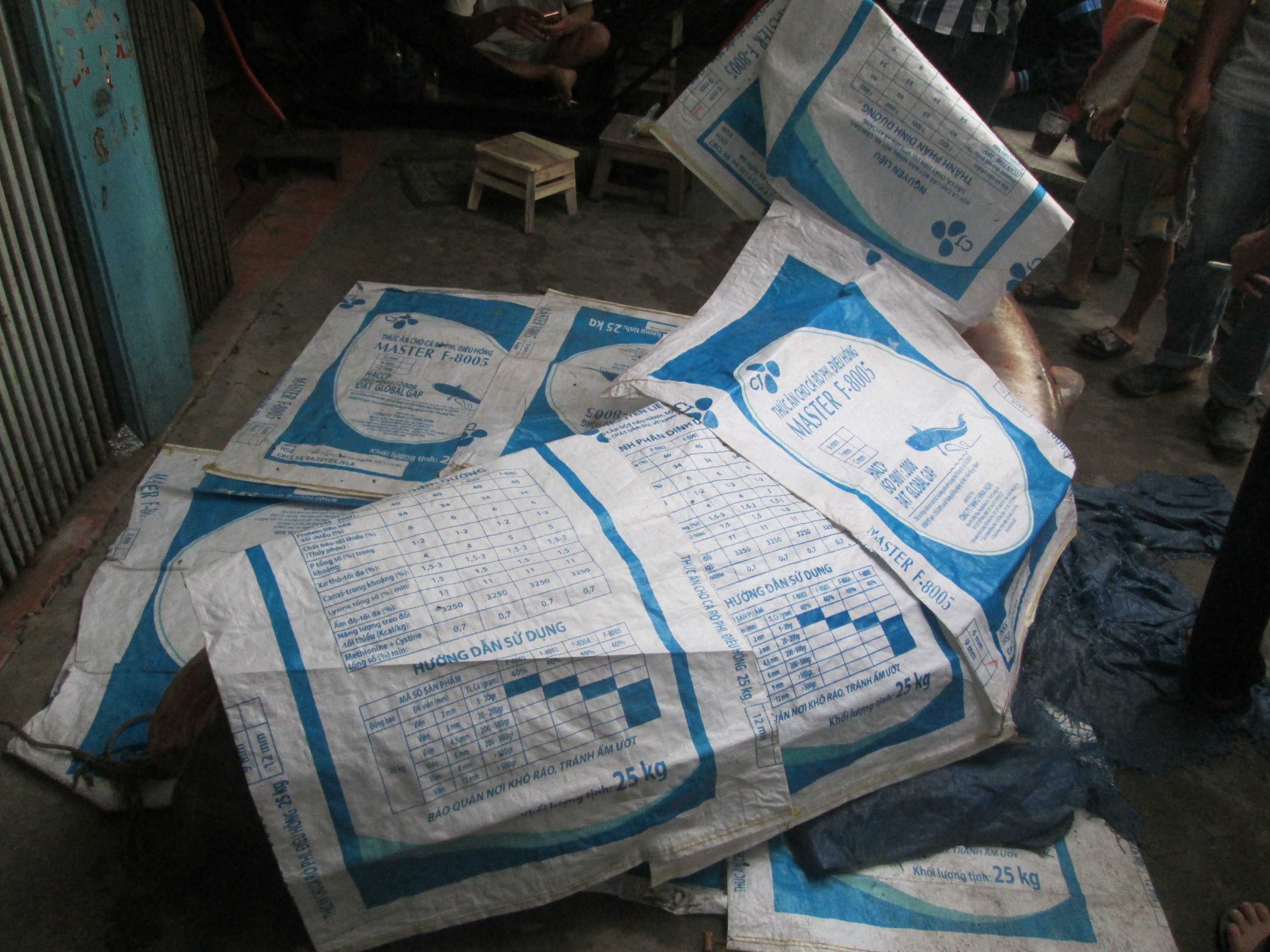 Dân kéo đi nghẹt đường xem cá tra dầu 'khủng' nặng hơn 200 kg - ảnh 3