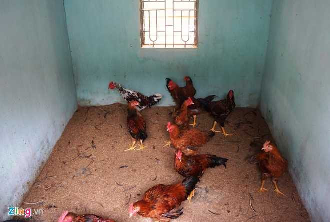 Vo mong vi xay phong tro 'an theo' nha may Vinaxuki hinh anh 7