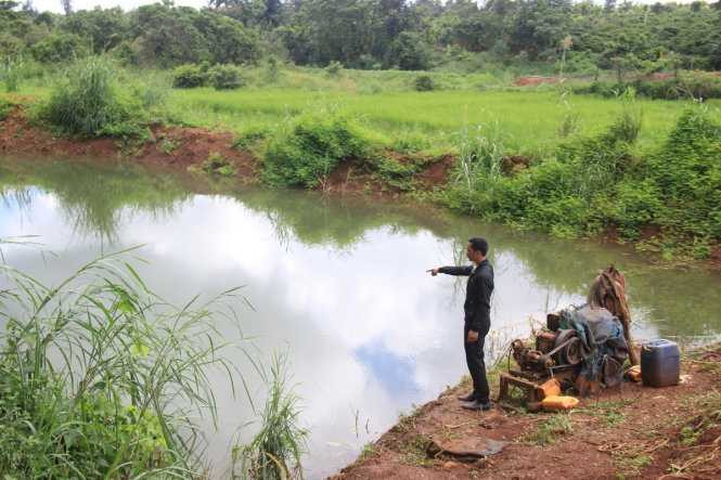 Hồ nước nơi phát hiện thi thể của anh Duy và hai con nhỏ - Ảnh: Lê Tiền