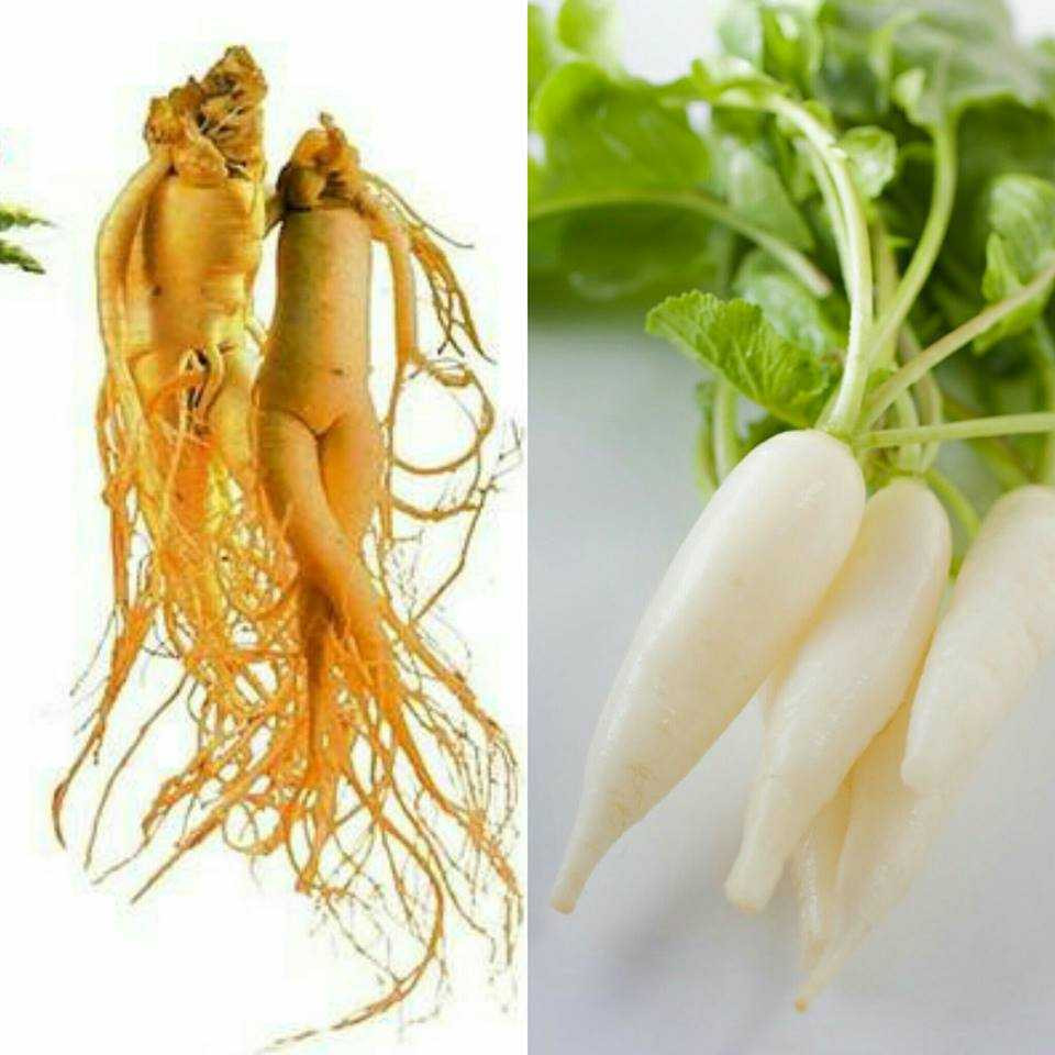 14593675_1191016430964582_242987126_n