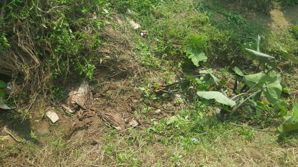 14600508_1192815517451340_463619791_o