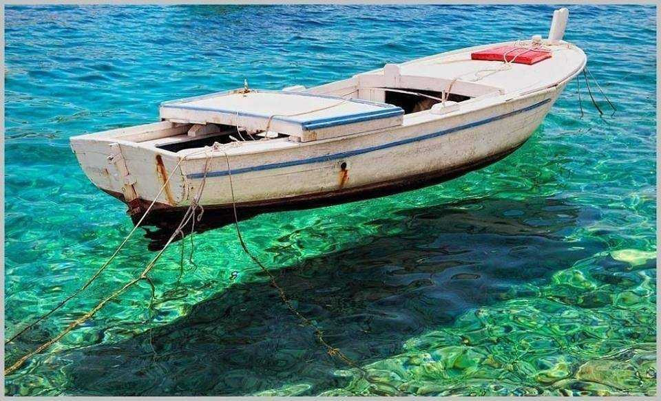 13418720_795310430570089_8069067712681095079_n