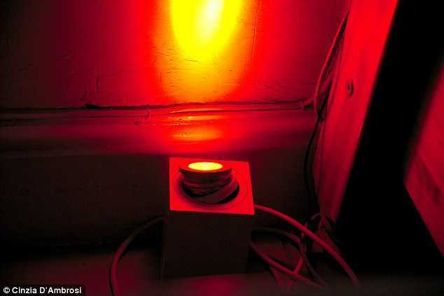 34A29A8C00000578-3622415-image-a-11_1464893925428