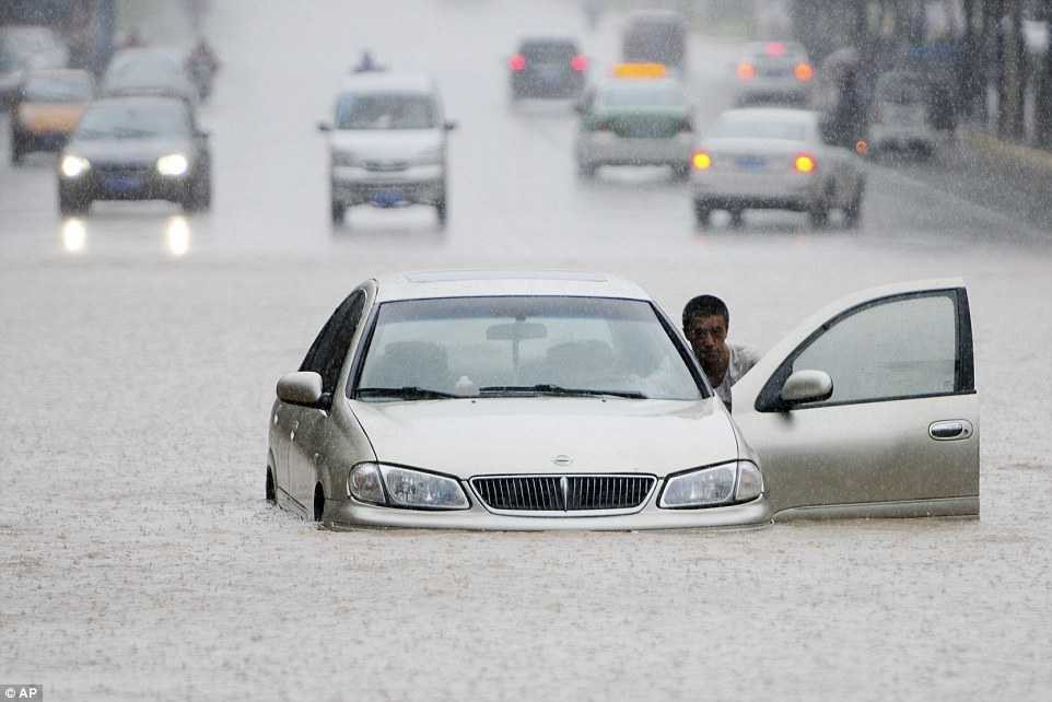 356B77F600000578-3647884-image-a-62_1466234995207