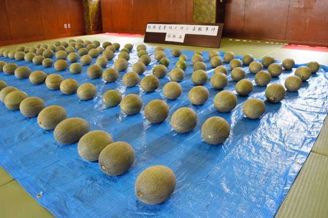 trom-dua-luoi-6-nguoi-viet-bi-bat-1466581552