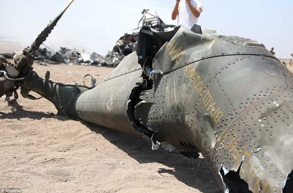 36C70F5000000578-3717939-image-a-28_1470056760585