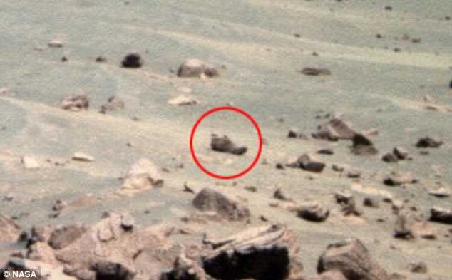 378DFB0200000578-0-image-a-1_1472070838413