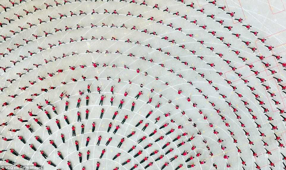 3967FD2D00000578-0-image-a-38_1476550219926