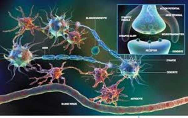 su-that-nam-sau-bo-nao-thien-tai-cua-albert-einstein-12-221259