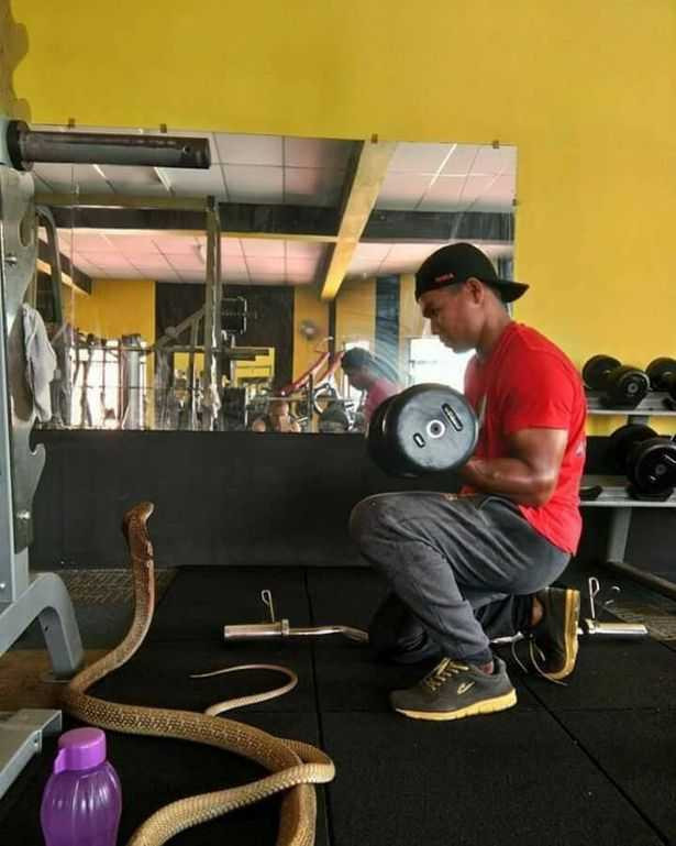 PAY-Man-marries-snake-he-believes-is-dead-girlfriend-reincarnated